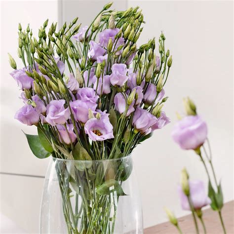 Types of Long Lasting Cut Flowers in Singapore — Botany Studio