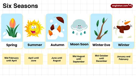 Transport Types 的图像结果