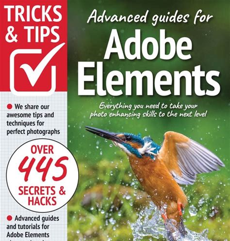 Image result for Adobe Elements 18 Tutorial