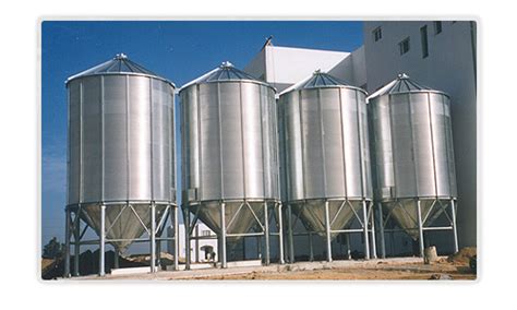 Mohan Exports (India) Pvt. Ltd