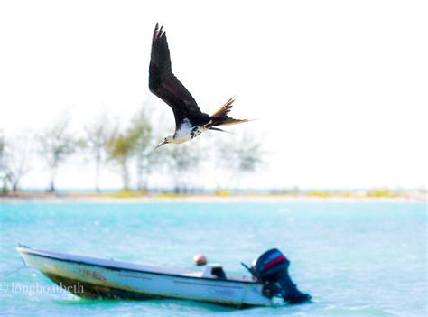 IKARI HOUSE (Kiritimati) - Lodge Reviews & Photos - Tripadvisor