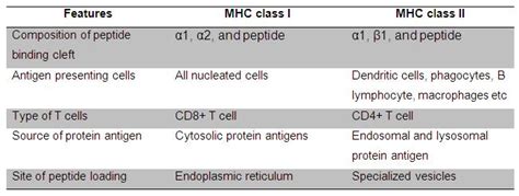Table 12.1 comparison of MHC class I and II antigenic processing: