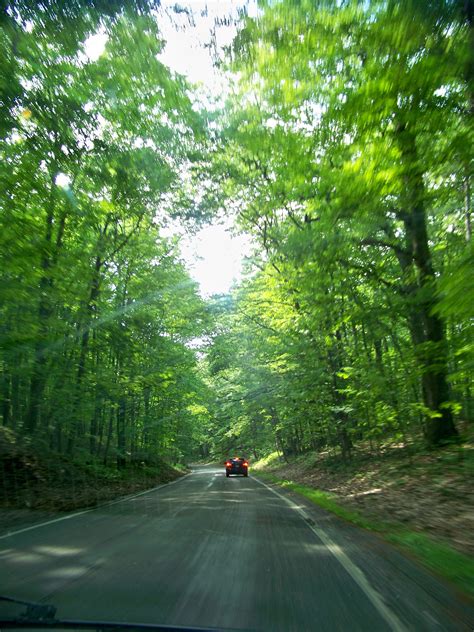 North Michigan Reservoir Campground: Reserve Your Spot Now