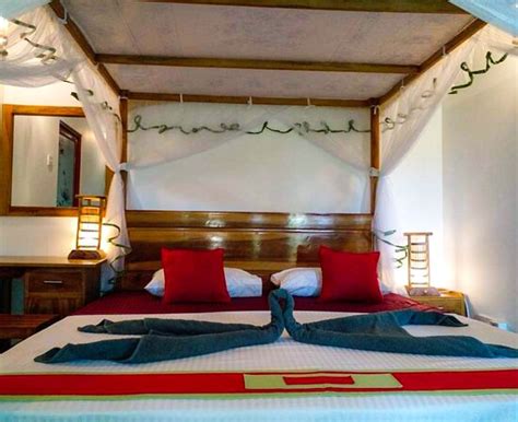 RAINFOREST NEST (Deniyaya) - B&B Reviews, Photos, Rate Comparison ...