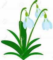 Image result for One Snowdrop Flower Clip Art