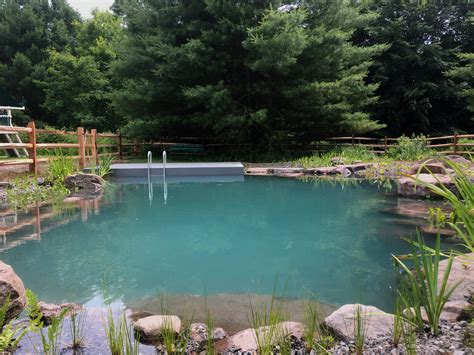 Natural Swim Ponds and Pools — PondWorks