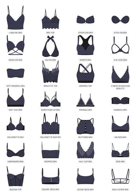 Types of bras. Big vector collection of lingerie. Set of underwear ...