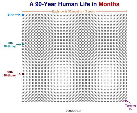 A 90-Year life visualized in months : r/simpleliving
