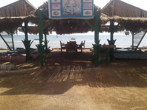 MONDIAL (Nuweiba) - Specialty Inn Reviews & Photos - Tripadvisor