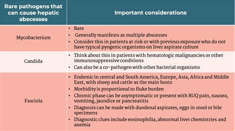 Liver Abscess Disease
