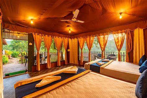 Book Dandeli Resorts & Adventure Tours: Wildlife, Rafting & Trekking