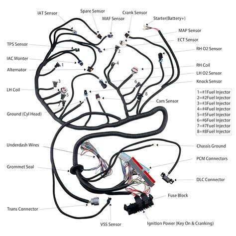Buy 4L60E DBC Engine Wiring Harness Standalone for 1997-2006 GM DBC LS1 ...