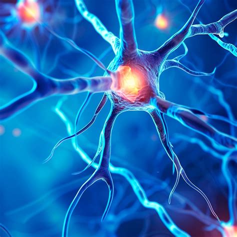 Therapieoptionen bei ALS - Neurologie - Universimed - Knowledge that ...