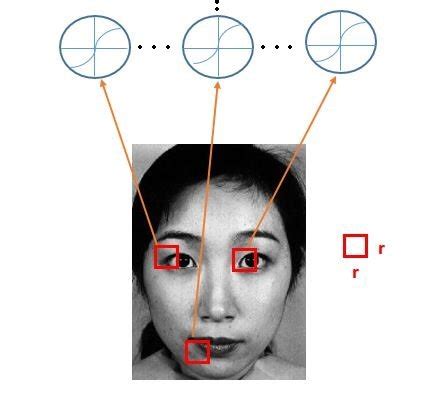 Local Disconective 的图像结果