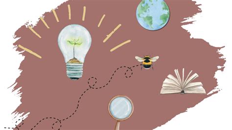 Image result for Walmart Wonder Lab.com