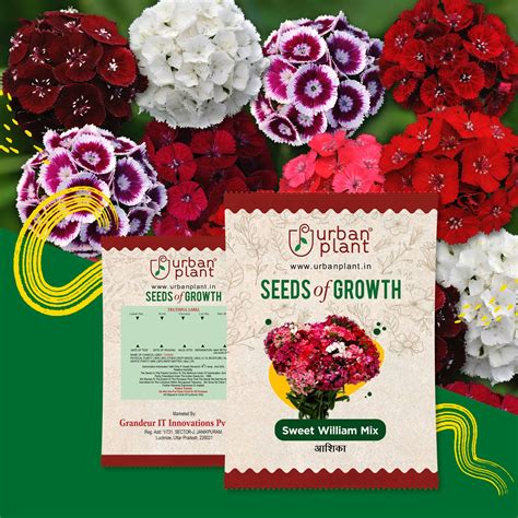 Buy Flower Seeds Online India - Fresh, High-Quality Gardening Seeds ...