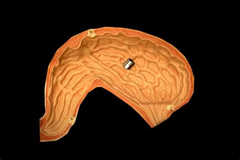 Robot Inside Human 的图像结果