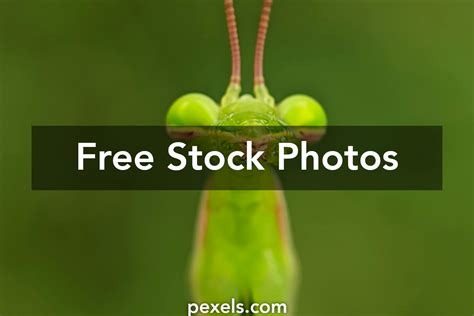 Alien Radar Device 的图像结果