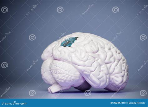 Image result for Brain Computer Interface Chip