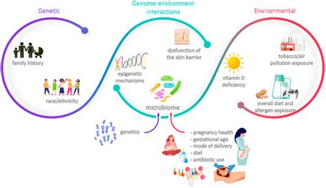 The Role of Infant Formulas in the Primary Prevention of Allergies in ...