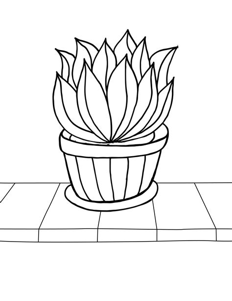 Plant Coloring Page