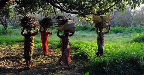 Women in rural India still struggle to get cooking fuel and water ...