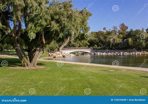 Lake at William Mason Regional Park Stock Photo - Image of mason ...