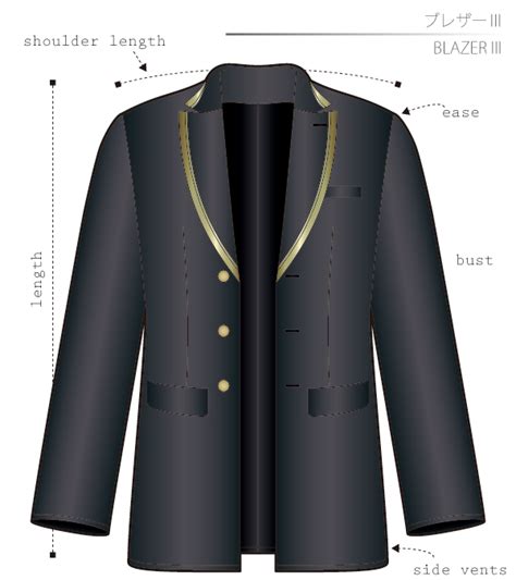 Blazer Tutorial .Net 的图像结果