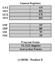 CPU Structure and Function - Computer Architecture and Organisation (CAO)