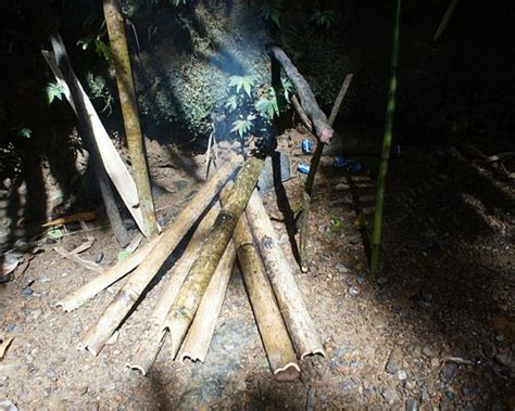 LONGHOUSE ADVENTURE HOMESTAY (Kuching, Sarawak) - Lodge Reviews ...