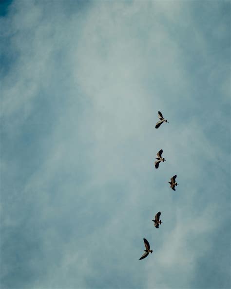 Xnxx.Com+Brazieli Photos, Download The BEST Free Xnxx.Com+Brazieli Stock Photos & HD Images