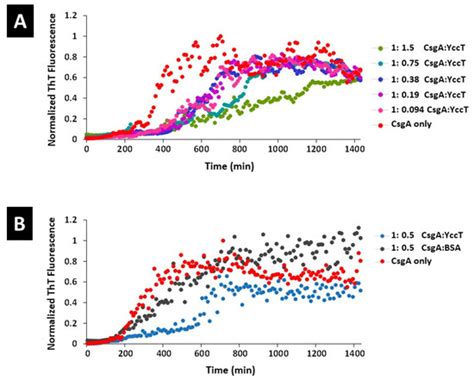 CsgI (YccT) Is a Novel Inhibitor of Curli Fimbriae Formation in ...