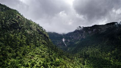 Foreign Tourists Can Now Easily Travel To Restricted & Protected Areas ...