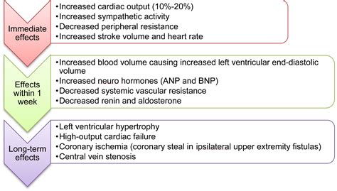 Supplemental Materials for High-Output Cardiac Failure and Coronary Steal With an Arteriovenous ...