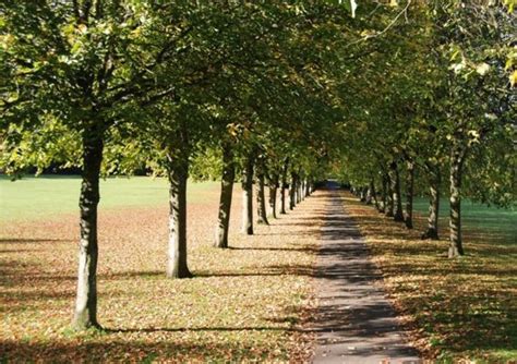 Eglinton Country Park, irvine, United Kingdom - Top Attractions, Things ...
