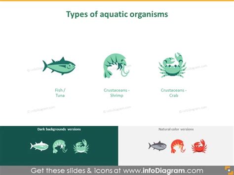 Types 的图像结果