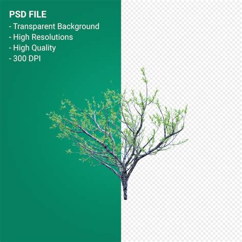 JavaScript Render Tree 的图像结果