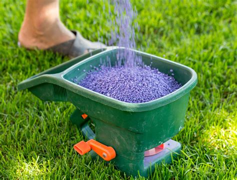 How to Fertilize Your Lawn