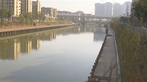 南昌县：莲塘河综合治理及景观提升工程今年春节前全面竣工_绿化