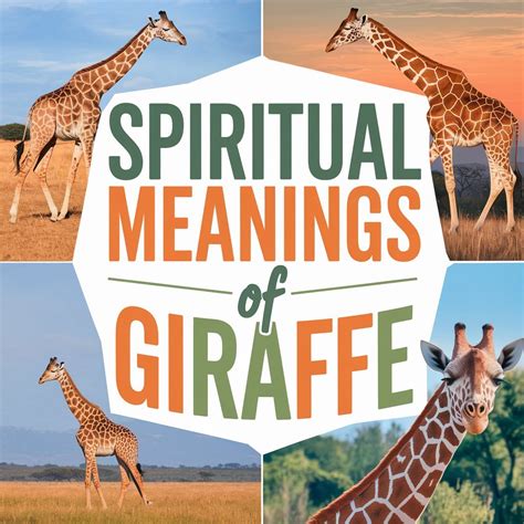 14 Spiritual Meanings of Giraffe: Reaching New Spiritual Heights
