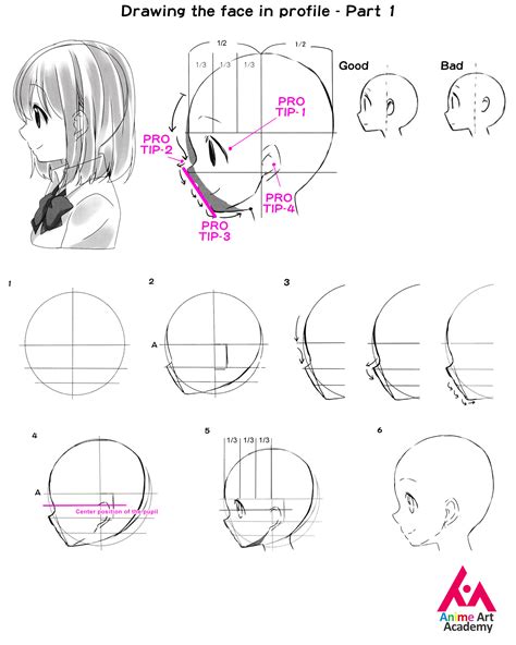 Anime Art Academy - Drawing the face in profile – Part 1