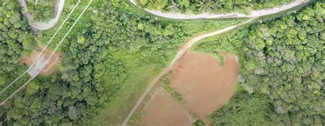 What’s the Role for Digitalization in Utility Vegetation Management ...