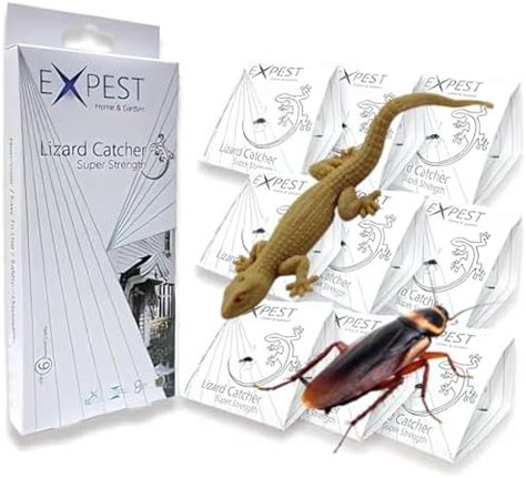 Finzatik Lizard Catcher, Lizard Repellent for Home,eco-Friendly Lizards ...