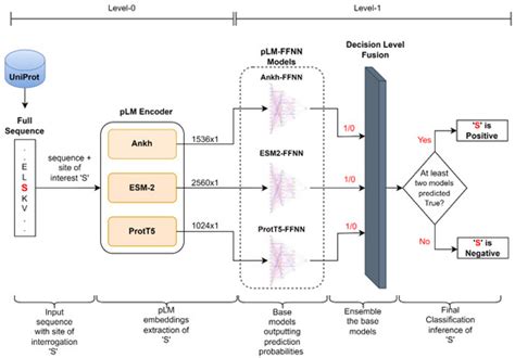 IJMS | Special Issue : Glycoconjugates Function and Metabolism