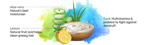 Buy Nyle Anti-Dandruf Herbal Shampoo, 800ml Online at Low Prices in ...