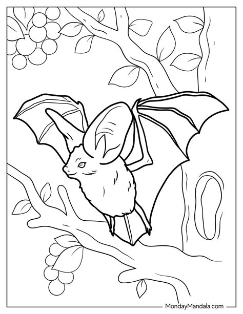 31 Bat Coloring Pages (Free PDF Printables)