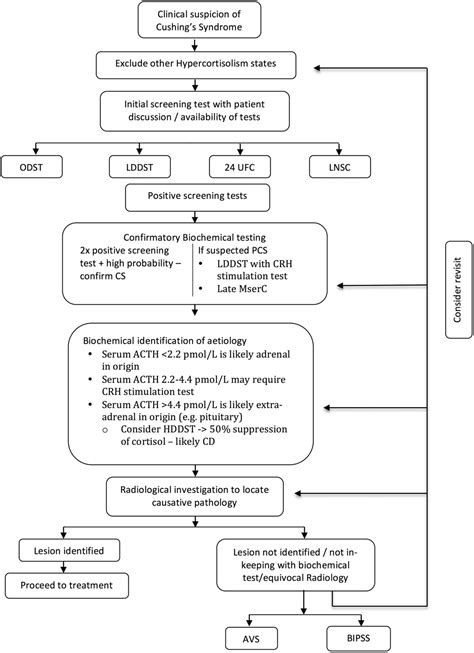 Cushing Disease Diagnosis Guidelines at John Bourque blog
