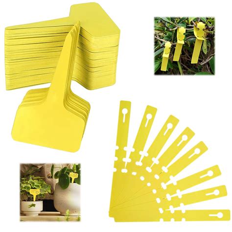 HASTHIP 200 pcs Plant Label Set for Garden Organization– Hasthip