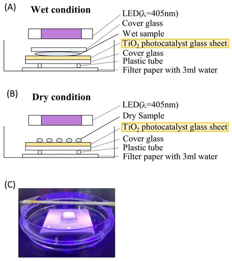 TiO2-Photocatalyst-Induced Degradation of Dog and Cat Allergens under ...