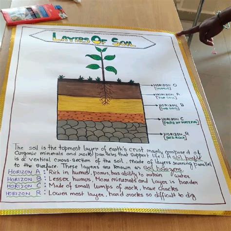 Soil Layers Science Project 的图像结果